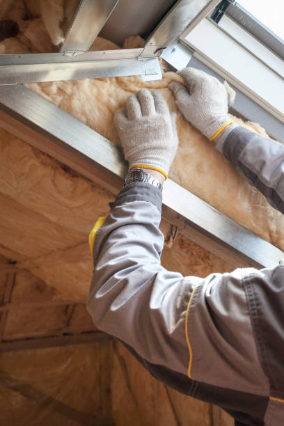 Best Residential Insulation in Martinsburg, PA
